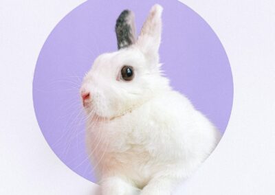 The true meaning of cruelty free: are your favourite brands included on the approved list?